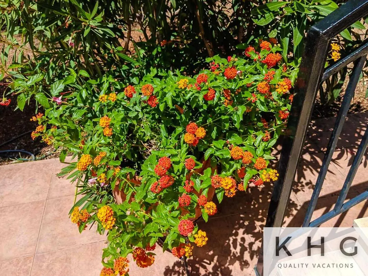 Thea Lassi 2 Bedroom Apartment, Garden Level Argostoli  Greece